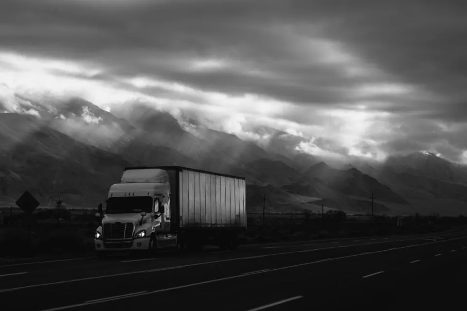 Interstate Removals