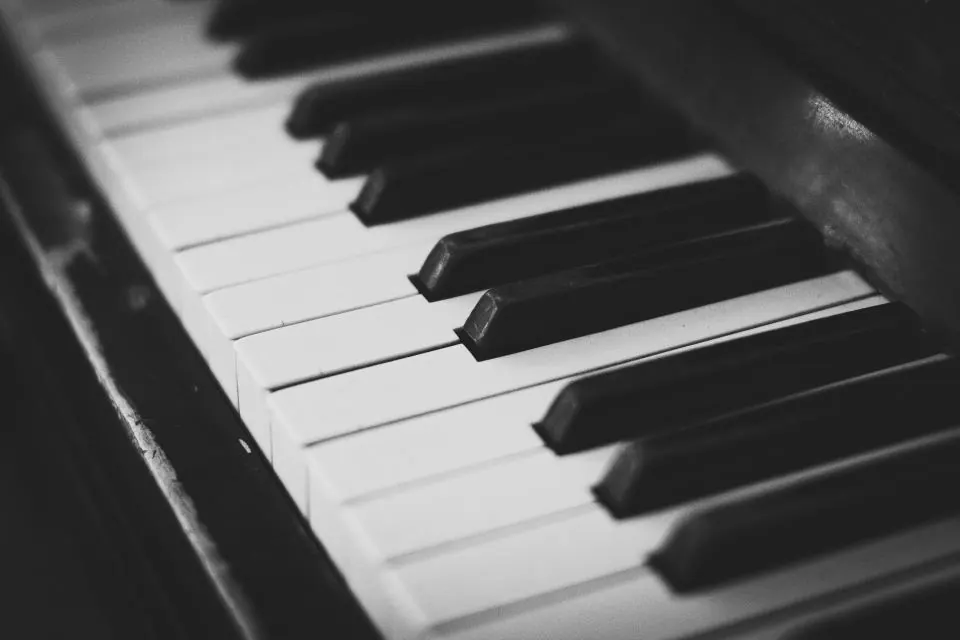 Piano Removalists