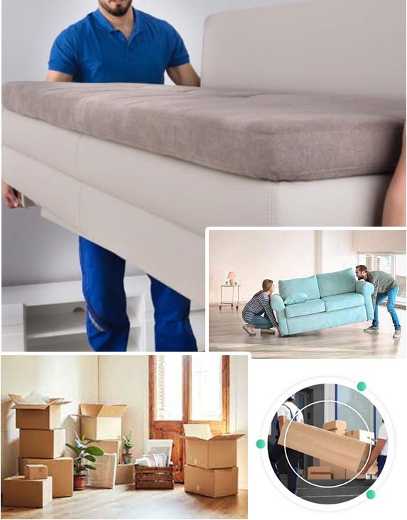 expert furniture movers adelaide